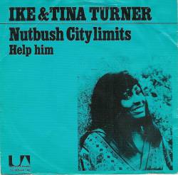 Ike Turner : Nutbush City Limits